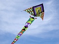 DSC01301
