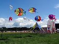 DSC01309
