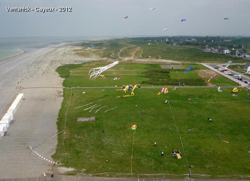P1080211.jpg - ... vue générale : nombreux cerfs-volants dans le ciel de Cayeux ...