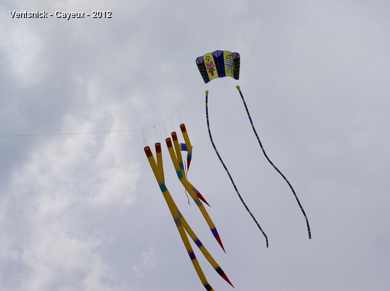 P6020042.jpg - ... il a aussi décoré, de crayons,  la ligne d'un cerf-volant ...
