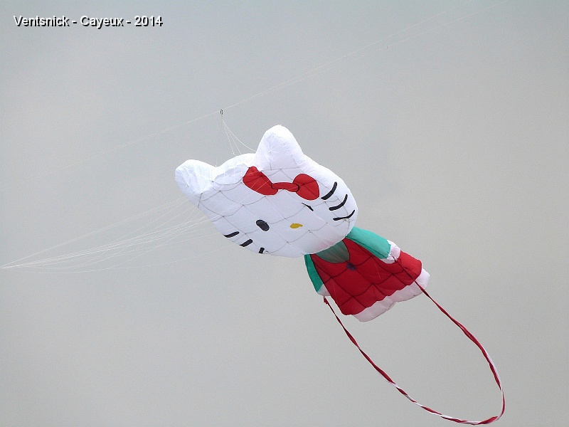 P1080924.JPG - ... "Hello Kitty" de Pierre Pozzan ...