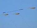 P1080786