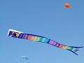 P1080938