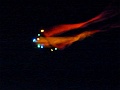 P1080878