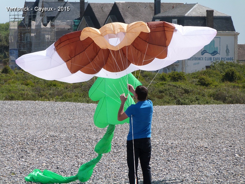 P1140307.JPG - Coquillage de Florent Slonski ...