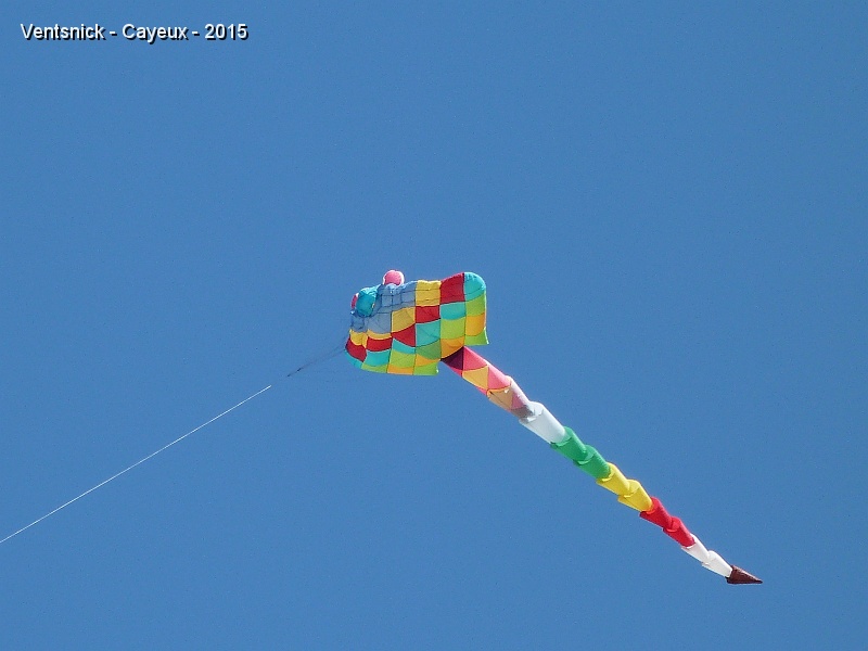 P1140322.JPG - Didier Maflard fait voler sa Raie Manta dont la stabilité parfaite, sans cerf-volant porteur, n'est plus à démontrer.