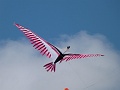 P1140342