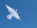 P1140371