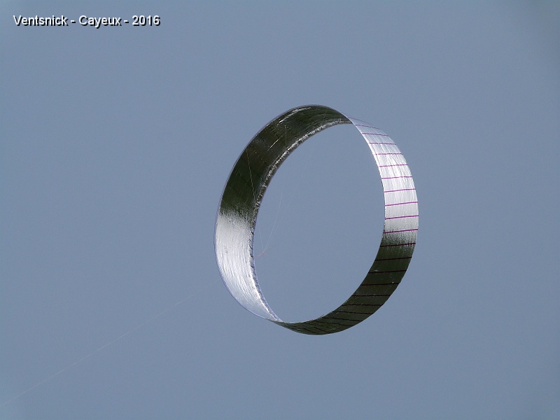P1190908.JPG - ... et son circoflex aux reflets très métalliques.
