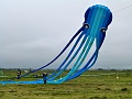 P1190795