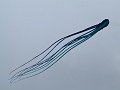 P1190797