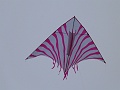 P1190807