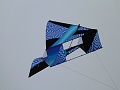 P1190819