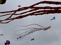 P1190820