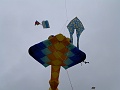 P1190825