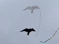 P1190834