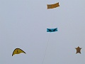 P1190876