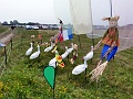 P1190898