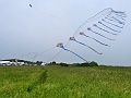 P1190901