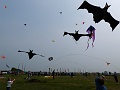 P1190906
