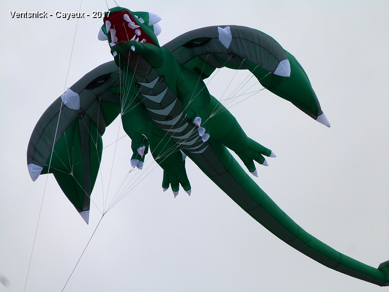 P1230954.JPG - ... un dargon ...