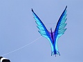 P1290361