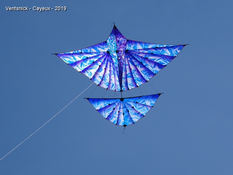 DSC01912.JPG - ... ce "renifleur de thermiques" déploie ses ailes, ...