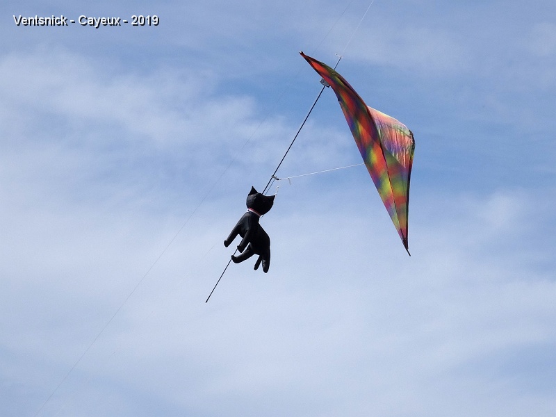 DSC01993.JPG - ... dans un premier temps, c'est le chat d'Emmanuel Duba qui va faire le grand saut et retomber sur ses pattes ... comme tout chat qui se respecte ! ...