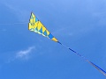 DSC01816