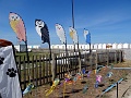 DSC01891