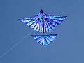 DSC01912