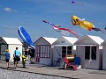 DSC01918