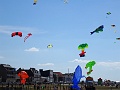 DSC01923