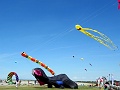 DSC01975