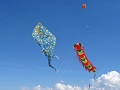 DSC01977
