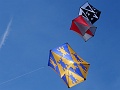 DSC01982
