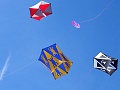 DSC01983