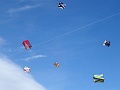 DSC01988