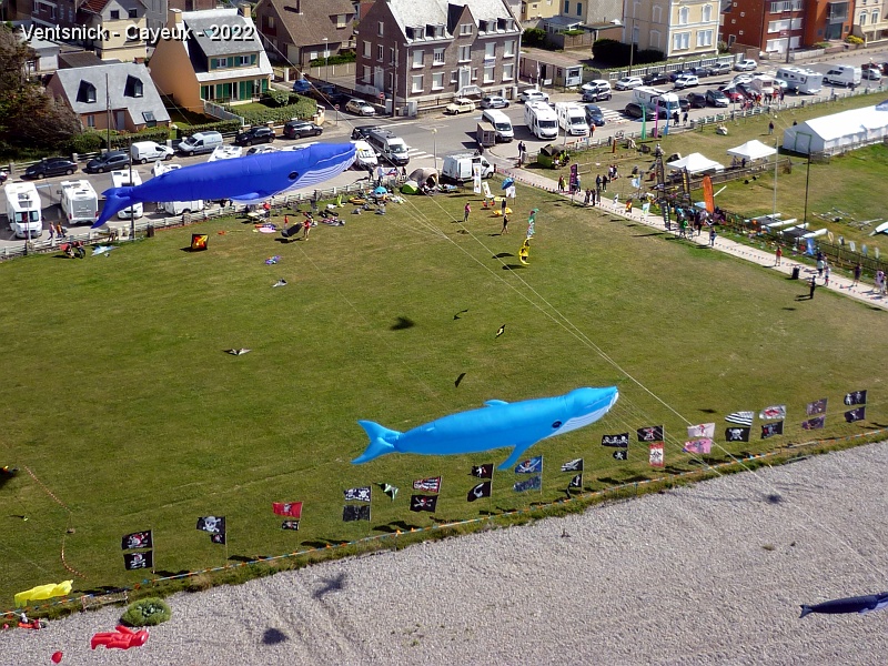 P1290730.JPG - ... des baleines, ...