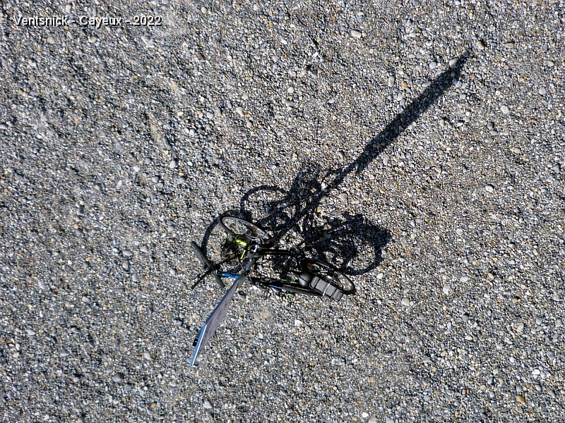 P1290782.JPG - Combien de vélos, selon vous, au pied de ce poteau ?