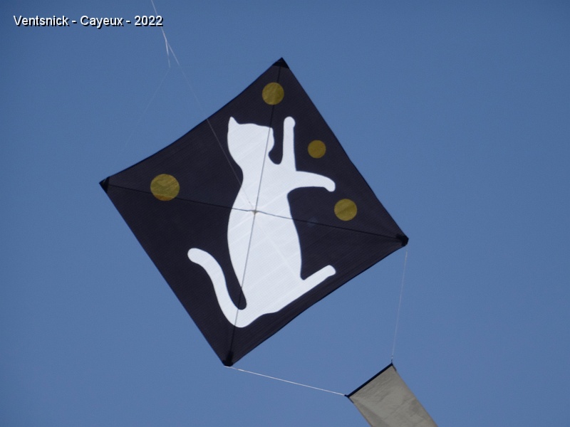 DSC09455.JPG - Et là un autre qui jongle avec des balles.