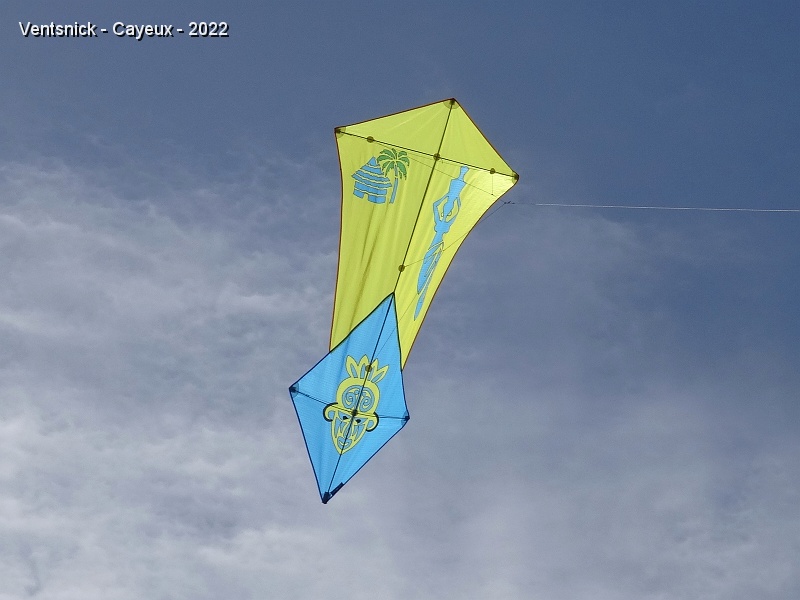 DSC09465.JPG - ... cerfs-volants sont prêts pour commémorer les 40 ans de Dieppe.