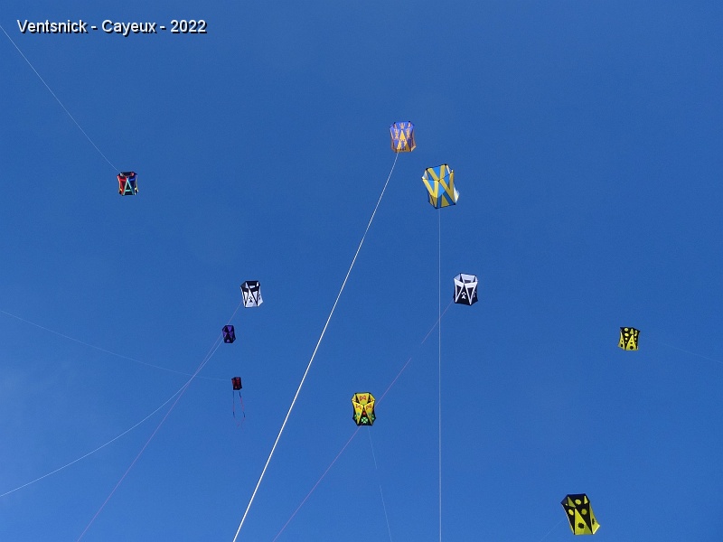 DSC09520.JPG - ... les cerfs-volants décollent un par un et se rejoignent dans un ciel idyllique !
