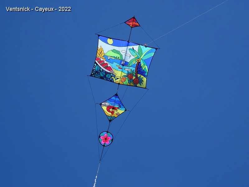 DSC09526.JPG - Joël Lassey sort ce magnifique cerf-volant en appliqué de spi, ...