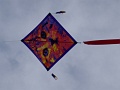 DSC09344