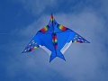 DSC09350