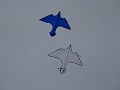 DSC09366