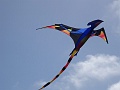 DSC09376