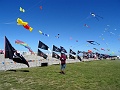 DSC09401