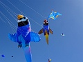 DSC09491